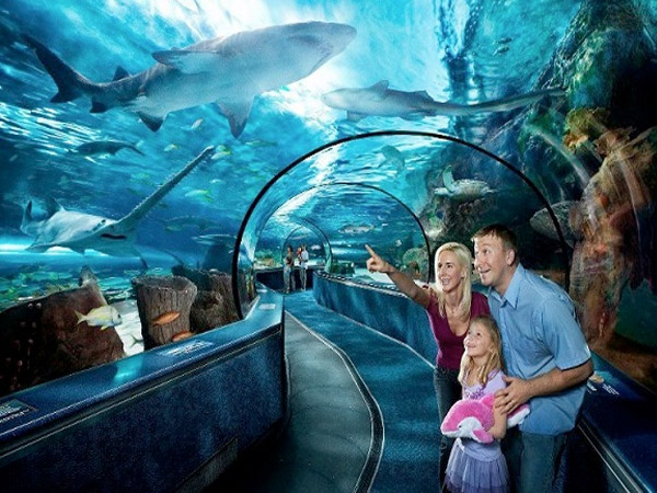 Ripley's Aquarium Myrtle Beach Attraction